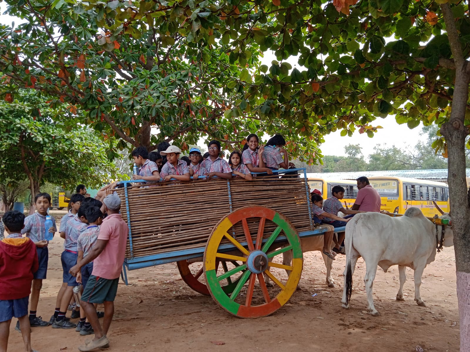 Class 5 Muchintal farm Picnic (26)