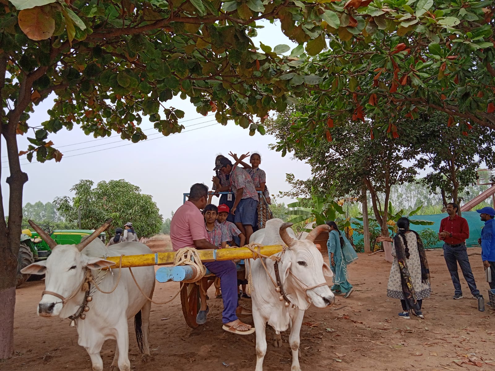 Class 5 Muchintal farm Picnic (27)